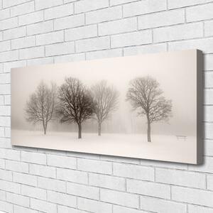 Obraz Canvas Sneh stromy príroda 125x50 cm