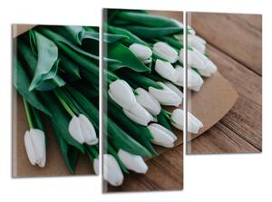 Obraz do bytu Biele tulipány
