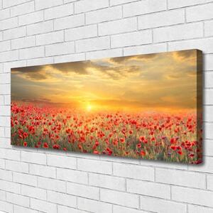 Obraz Canvas Slnko lúka mak kvety 125x50 cm