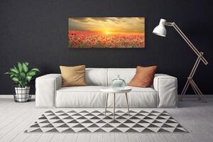 Obraz Canvas Slnko lúka mak kvety 125x50 cm