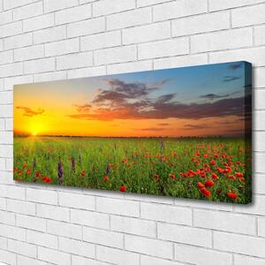 Obraz Canvas Slnko lúka kvety príroda 125x50 cm