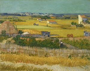 Obrazová reprodukcia The Harvest, 1888, Vincent van Gogh