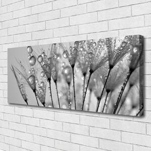 Obraz na plátne Púpava rastlina 125x50 cm