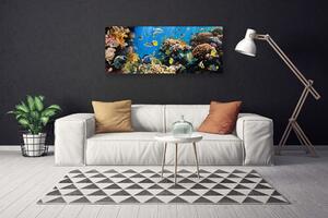 Obraz na plátne Koralový útes príroda 125x50 cm