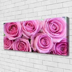 Obraz na plátne Ruže kvety rastlina 125x50 cm