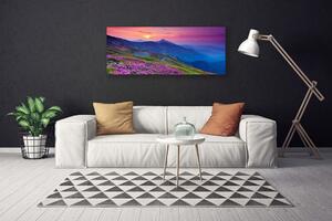 Obraz na plátne Hory lúka kvety príroda 125x50 cm