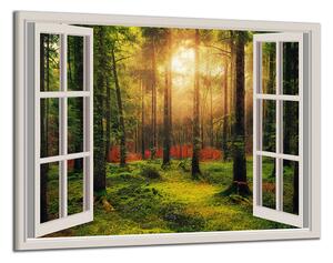 Obraz na stenu Okno do lesa