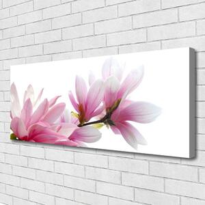 Obraz na plátne Magnolie kvet 125x50 cm