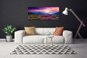 Obraz na plátne Hora lúka kvety príroda 125x50 cm