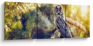 Obraz sovy na strome (s hodinami) (90x30 cm)