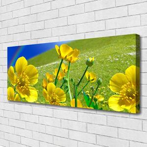 Obraz na plátne Lúka kvety dúha príroda 125x50 cm