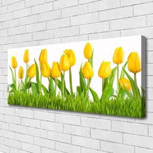Obraz na plátne Tulipány 125x50 cm