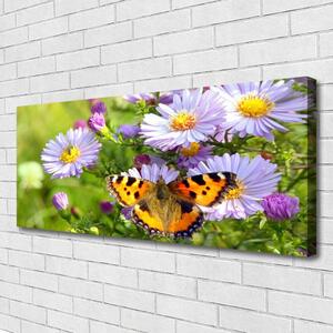 Obraz na plátne Kvety motýľ príroda 125x50 cm