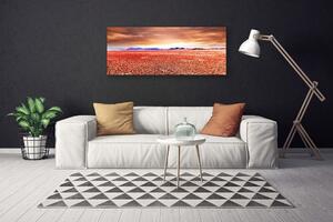 Obraz na plátne Púšť krajina 125x50 cm