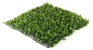 Umelý živý plot Hawaj Buxus High | stena 100 x 100 cm