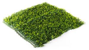 Umelý živý plot Hawaj Buxus High žltý stena 100 x 100 cm