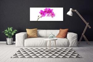 Obraz Canvas Vstavač kvet orchidea 125x50 cm