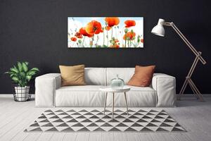 Obraz Canvas Kvety maky lúka pole príroda 125x50 cm
