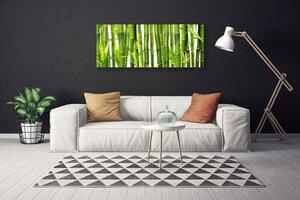 Obraz Canvas Bambusové výhonky listy bambus 125x50 cm