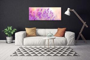 Obraz Canvas Levanduľovej pole slnko kvety 125x50 cm