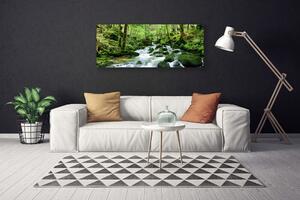 Obraz Canvas Les potok vodopády rieka 125x50 cm