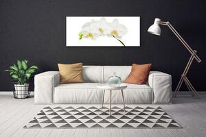 Obraz Canvas Orchidea výhonky kvety príroda 125x50 cm