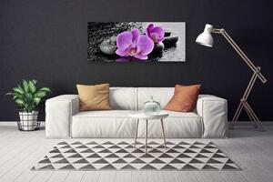 Obraz Canvas Orchidea kvety kamene zen 125x50 cm