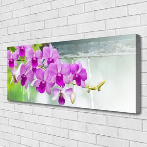 Obraz Canvas Orchidey kvapky príroda 125x50 cm