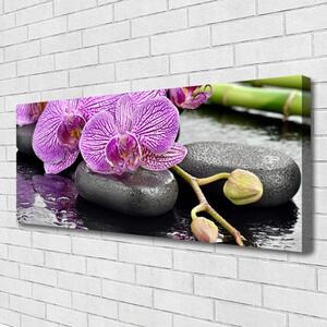 Obraz Canvas Kamene zen orchidea kúpele 125x50 cm