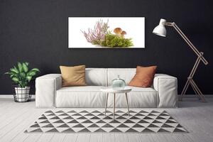 Obraz Canvas Huby rastlina príroda 125x50 cm