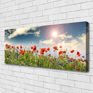 Obraz Canvas Lúka kvety slnko príroda 125x50 cm