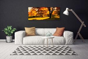 Obraz Canvas Stromy jeseň príroda 125x50 cm