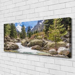 Obraz Canvas Hora les kamene rieka 125x50 cm