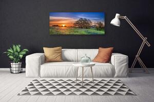 Obraz Canvas Lúka slnko krajina 125x50 cm
