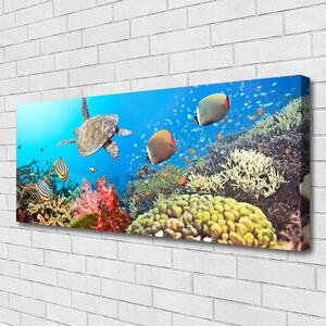 Obraz na plátne Koralový útes krajina 125x50 cm