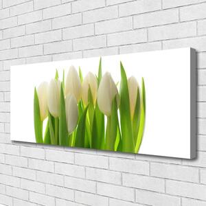 Obraz na plátne Tulipány rastlina príroda 125x50 cm