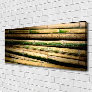 Obraz na plátne Bambus rastlina príroda 125x50 cm