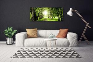Obraz Canvas Les slnko chodník príroda 125x50 cm