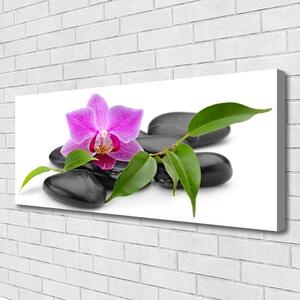 Obraz Canvas Kvet kamene umenie 125x50 cm