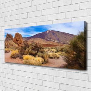 Obraz Canvas Hory rastliny skaly krajina 125x50 cm