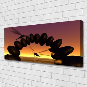 Obraz Canvas Vážky kamene umenie 125x50 cm