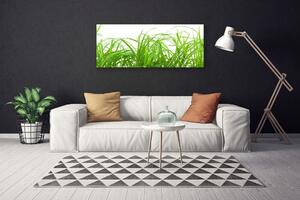 Obraz Canvas Tráva rastlina príroda 125x50 cm