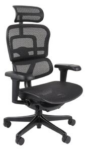 Ergonomické kreslo Ergohuman 2 Ultra BS Black