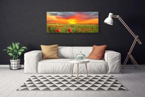 Obraz Canvas Maky slnko rastlina príroda 125x50 cm