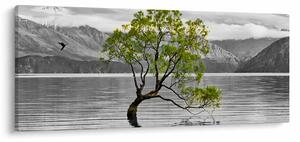 Obraz stromu uprostred jazera (120x50 cm)