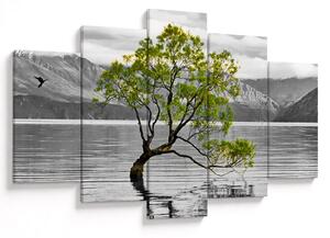 Obraz stromu uprostred jazera (150x105 cm)