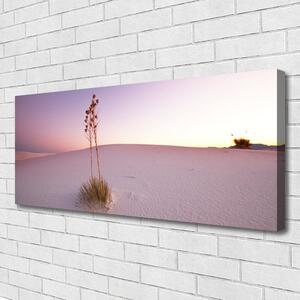 Obraz Canvas Púšť písek krajina 125x50 cm