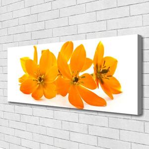 Obraz na plátne Oranžové kvety 125x50 cm