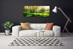 Obraz na plátne Mech les príroda 125x50 cm