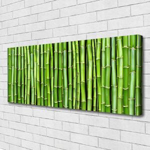 Obraz na plátne Bambus kvet rastlina 125x50 cm